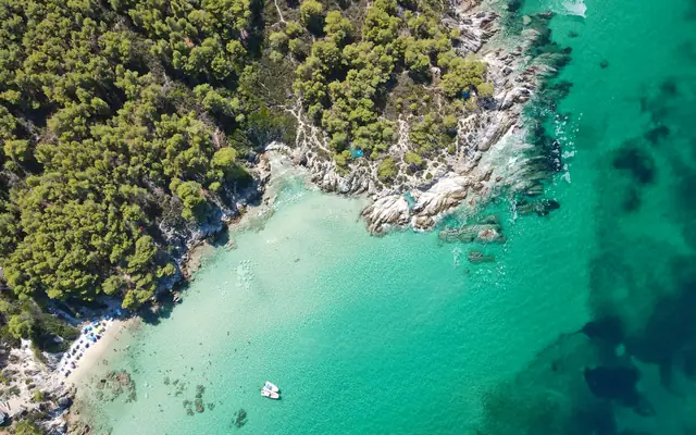 Luftfoto af turkisvand og fyrretræskyst ved Kapourotrypes Beach, Sithonia